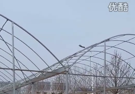 淮南簡易連棟大棚高清視頻拍攝